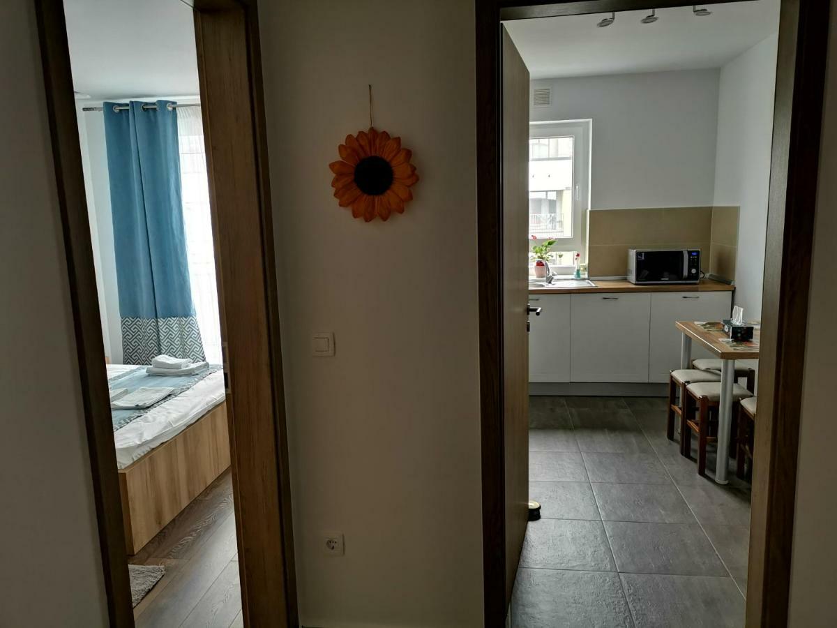 Mei Brasov Ngoại thất bức ảnh
